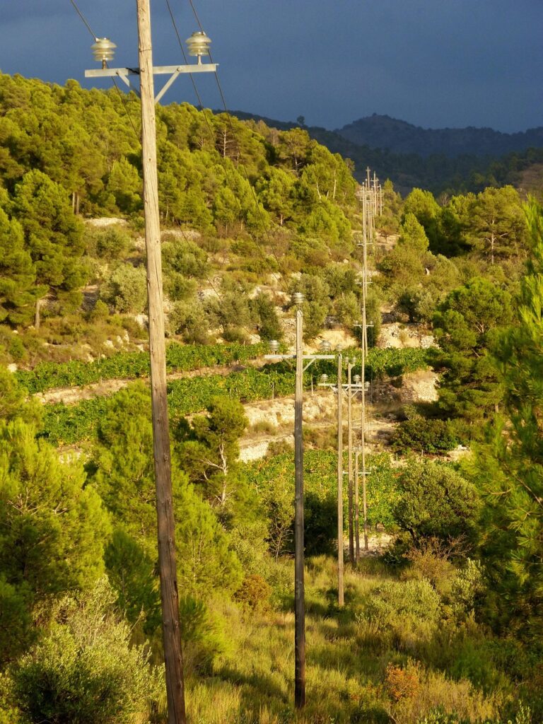Powerline 968323 1280 768x1024
